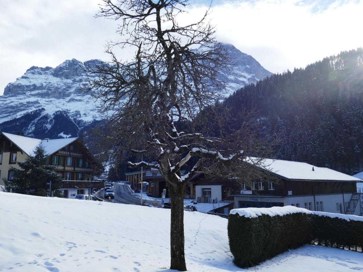 Apartment Chalet Schwendihus-10 By Interhome Grindelwald Bagian luar foto