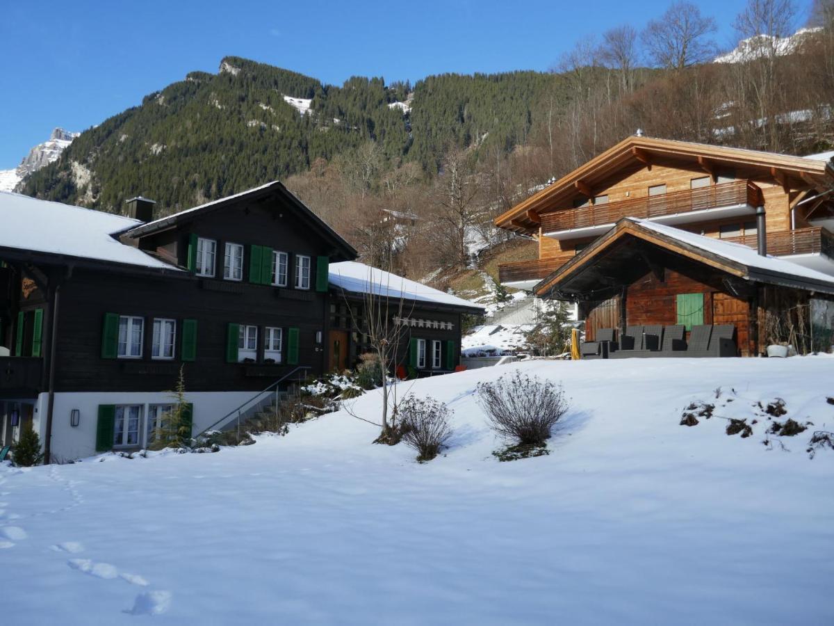 Apartment Chalet Schwendihus-10 By Interhome Grindelwald Bagian luar foto